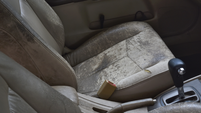 understanding-common-leather-seat-issues.webp