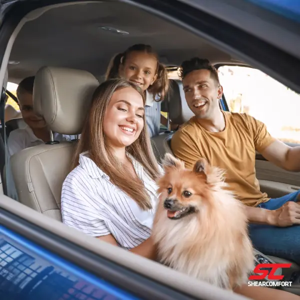 what-makes-a-top-rated-dog-seat-cover.jpg