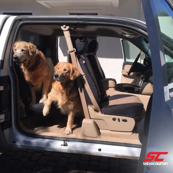 why-do-you-need-a-dog-seat-cover-for-back-seat.jpg