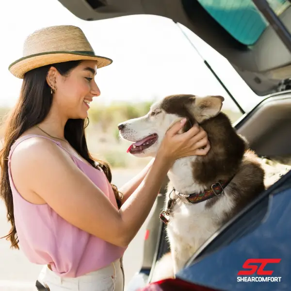 why-shearcomfort-has-the-best-car-dog-seat-covers.jpg