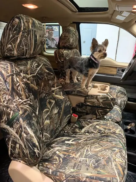 advanced-protection-features-for-truck-seat-covers.jpg