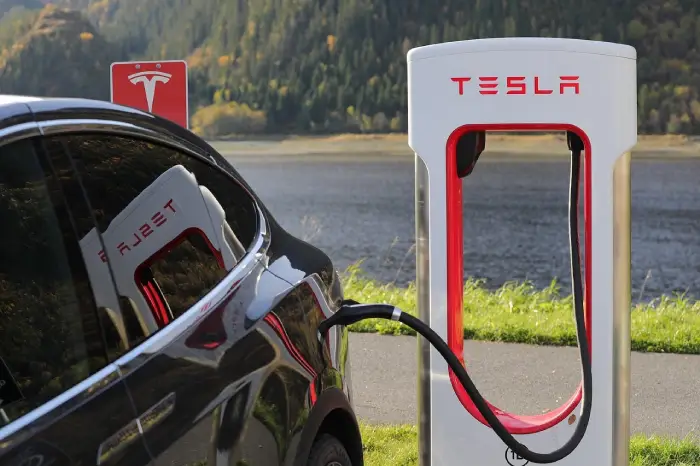 Free Tesla Tesla Model X photo and picture