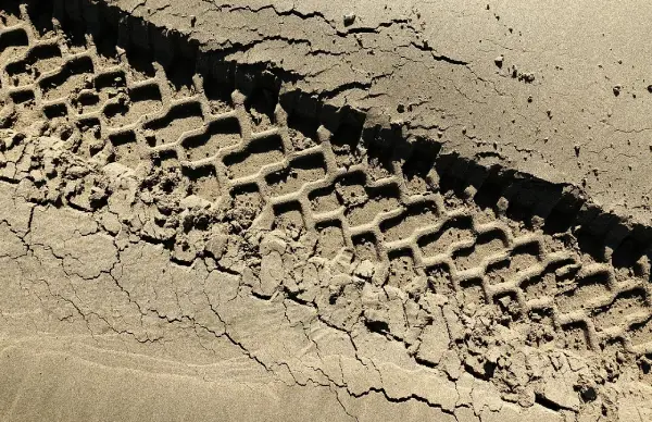 Free Tire Track photo and picture