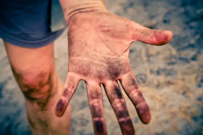 Free Hand Palm photo and picture
