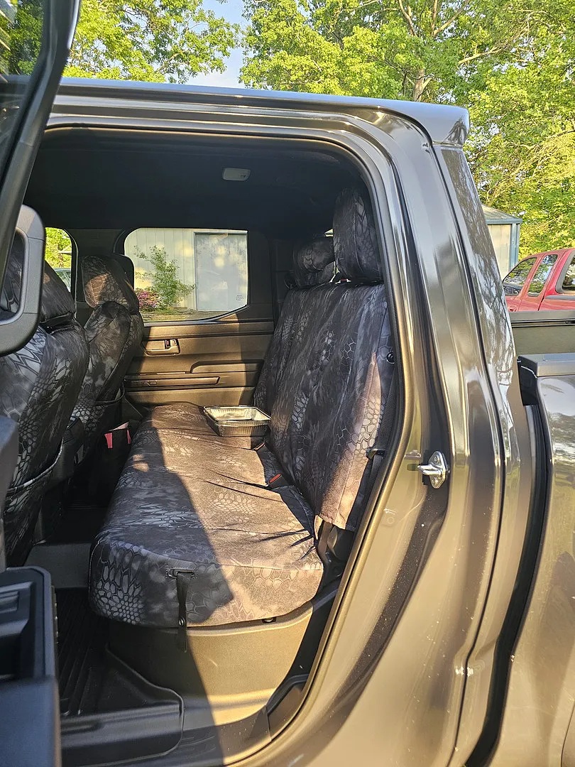 protecting-your-seats-from-pets-what-every-pet-owner-should-know.jpg
